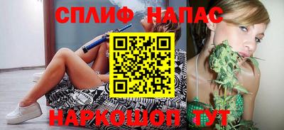 винт Новозыбков