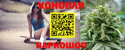 сатива Новодвинск